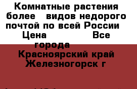 Комнатные растения более200видов недорого почтой по всей России › Цена ­ 100-500 - Все города  »    . Красноярский край,Железногорск г.